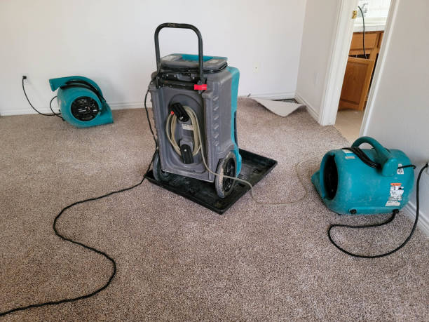 Best Flood damage cleanup  in Kannapolis, NC