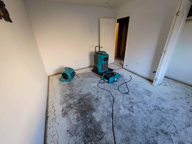 Best Local water damage restoration  in Kannapolis, NC