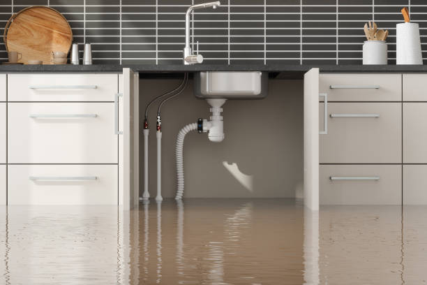 Best Commercial water damage restoration  in Kannapolis, NC