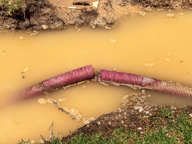 Best Flood damage cleanup  in Kannapolis, NC