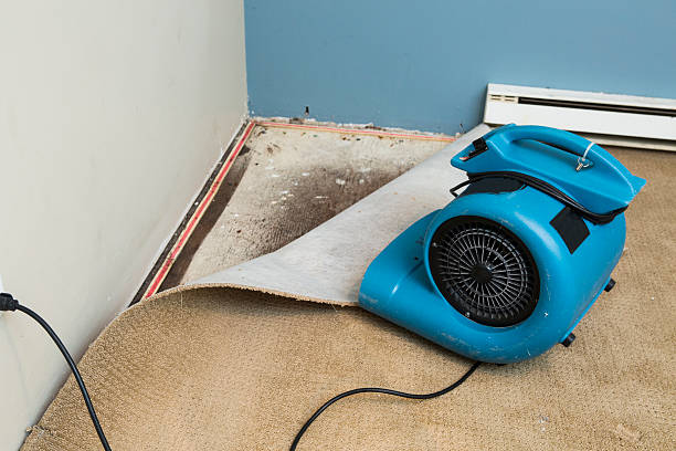 Best Fire Damage Restoration  in Kannapolis, NC